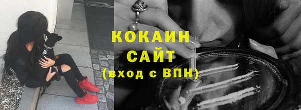 ешки Снежногорск