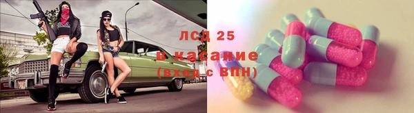 PSILOCYBIN Абаза