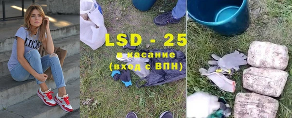 PSILOCYBIN Абаза
