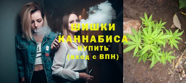 PSILOCYBIN Абаза
