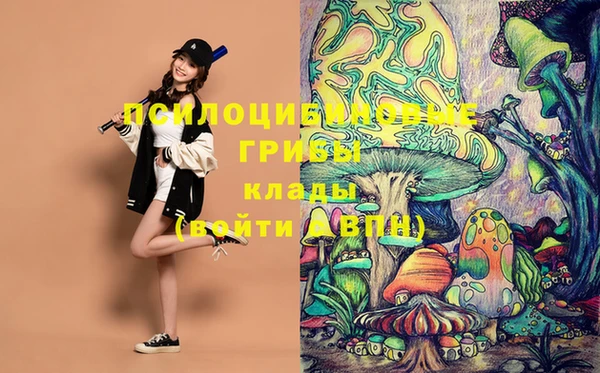 PSILOCYBIN Абаза