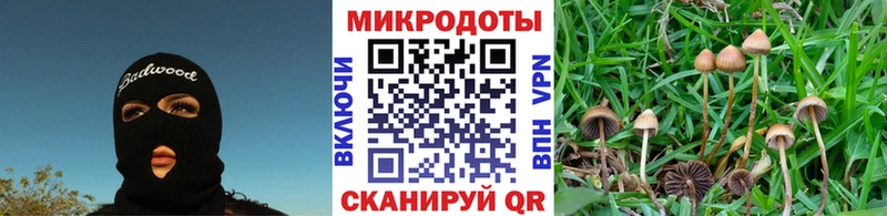 купить закладку  Холм  Галлюциногенные грибы прущие грибы 